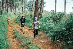 BIB: 
                            <button type="button" onclick="openModal(25656064)" class="btn btn-primary btn-sm float-right btn-popup" data-toggle="modal" data-target=".modal-high-quality">
                        <i class="fas fa-shopping-cart"></i> Add to Cart
                    </button>
                                            <button type="button" onclick="isThisMe(25656064, true)" class="btn btn-success btn-sm float-right btn-popup btn-isme hidden" data-toggle="tooltip" data-placement="bottom" title="นี่คือรูปของคุณใช่ไหม คลิกที่นี่เพื่อเอาเข้าอัลบั้ม">
                        <i class="fas fa-plus"></i> Add to album
                    </button>
                    <button type="button" onclick="isThisMe(25656064, false)" class="btn btn-warning btn-sm float-right btn-popup btn-isnotme hidden">
                        <i class="fas fa-ban"></i> Remove from album
                    </button>